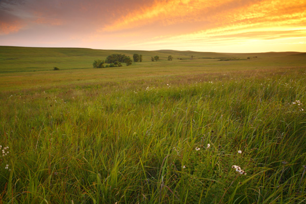 Flint Hills Scenic Byway, Kansas