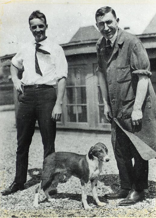 Frederick Banting and Charles Best