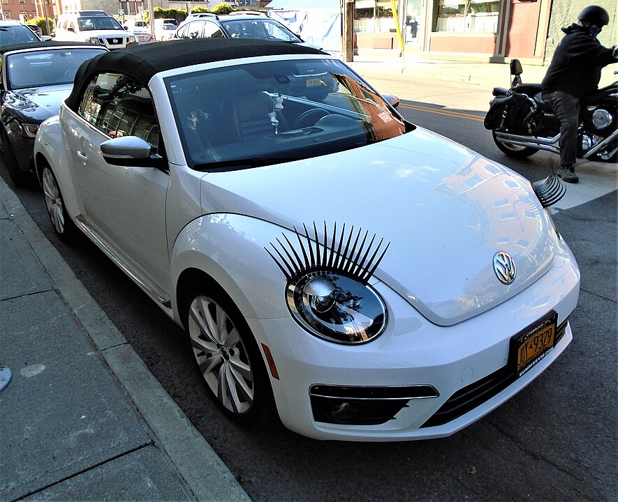 Headlight Eyelashes