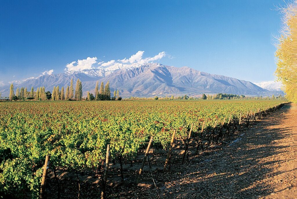 Maipo Valley, Chile