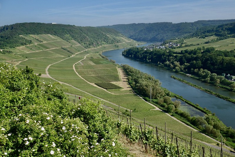 Mosel Valley, Germany