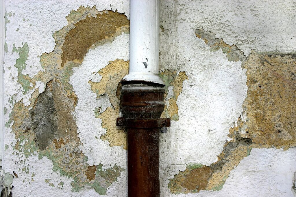 Persistent Dampness or Mold