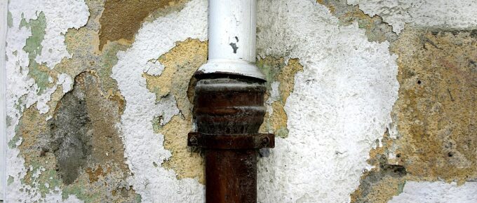 Persistent Dampness or Mold