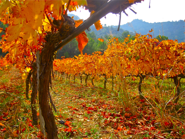 Priorat, Spain