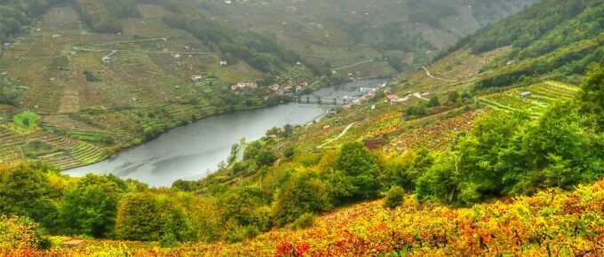 Ribeira Sacra