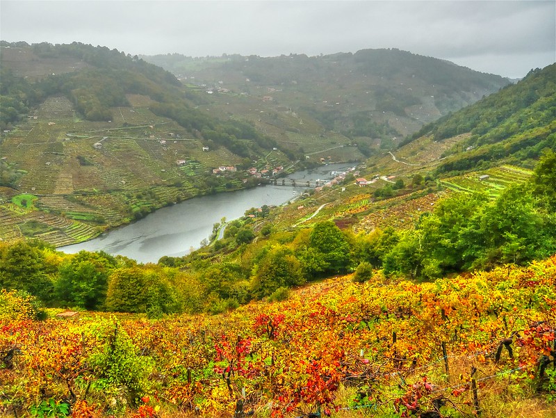 Ribeira Sacra