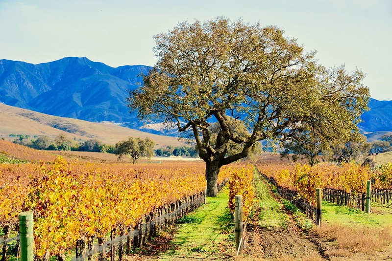 Santa Ynez Valley, California