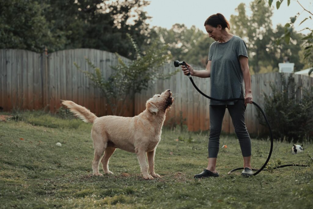 Pet-Specific Pill Pockets