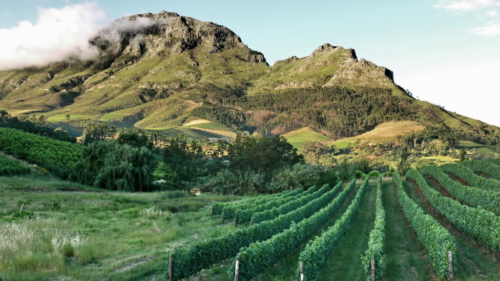 Stellenbosch, South Africa