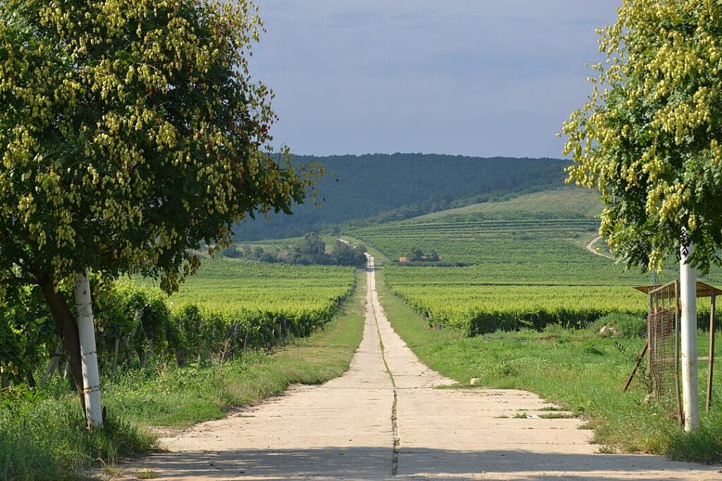 Tokaj, Hungary