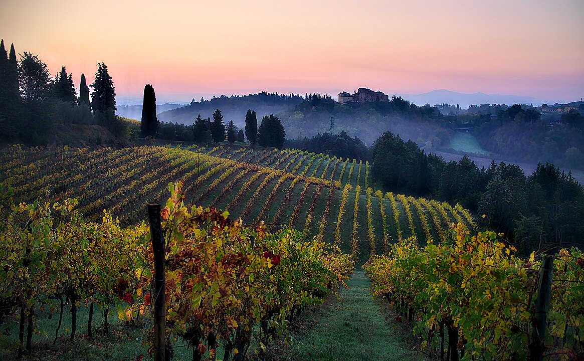 Tuscany’s Super Tuscans, Italy