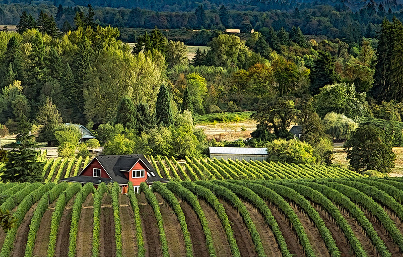 Willamette Valley, USA