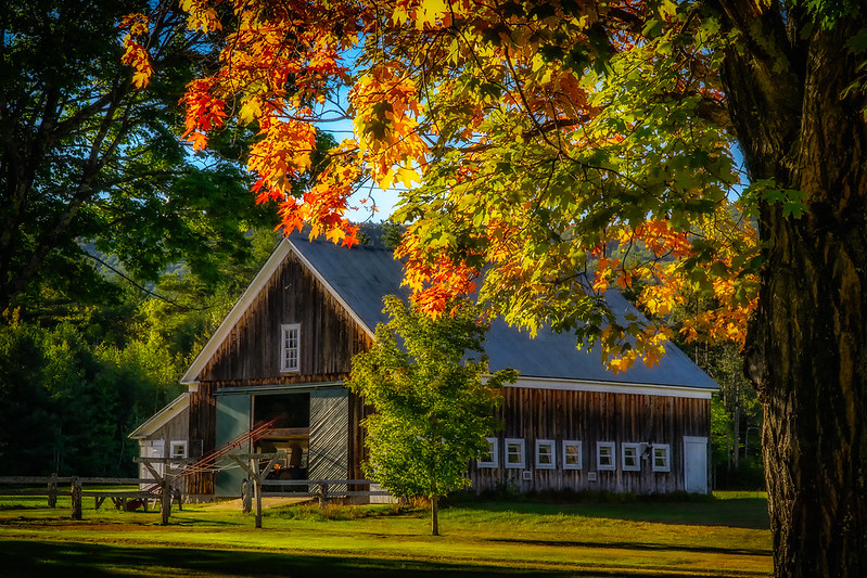 Woodland Cabin, White Mountains, New Hampshire