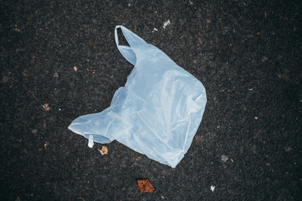 Single-Use Plastic Bags