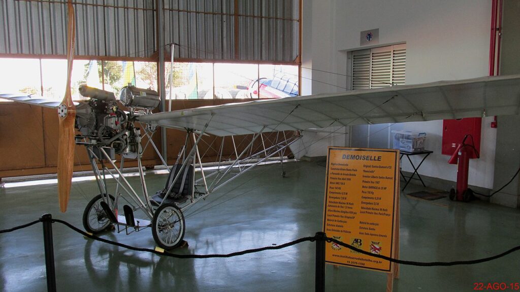 Bamboo Was Used in Early Airplane Construction