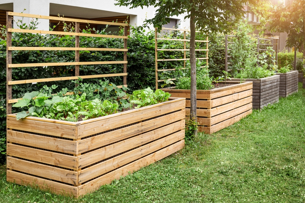 Build Raised Garden Beds