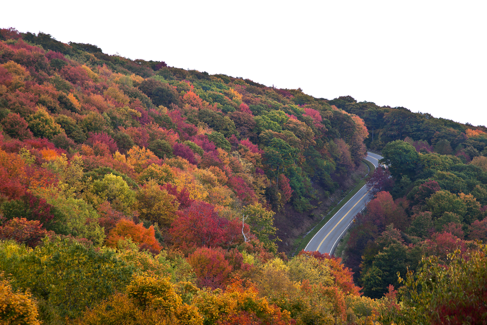 Cherohala Skyway, Tennessee to North Carolina