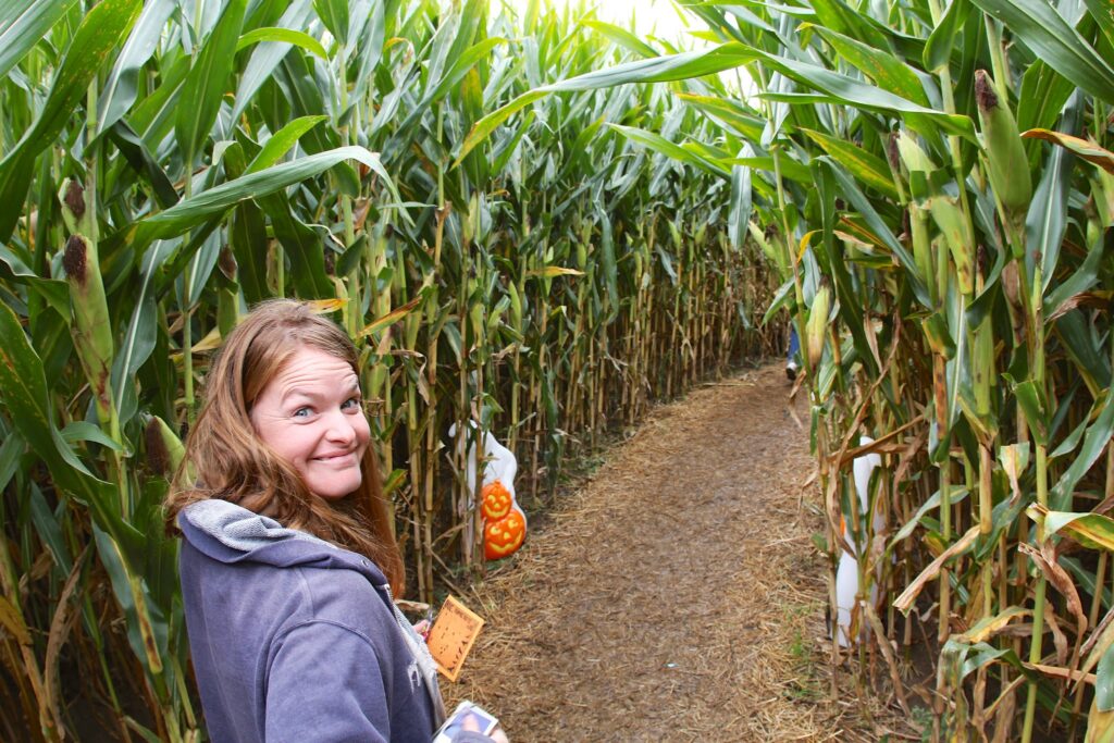 Explore a Corn Maze