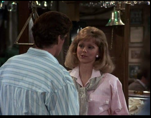 Diane Chambers – Cheers