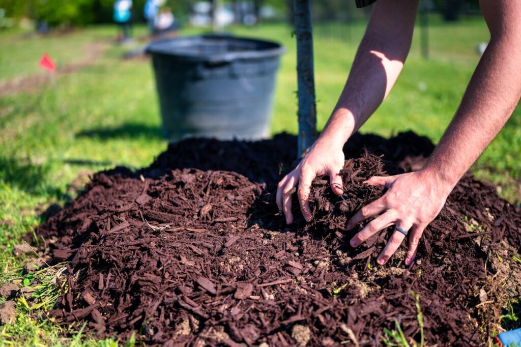 Mulch to Retain Moisture