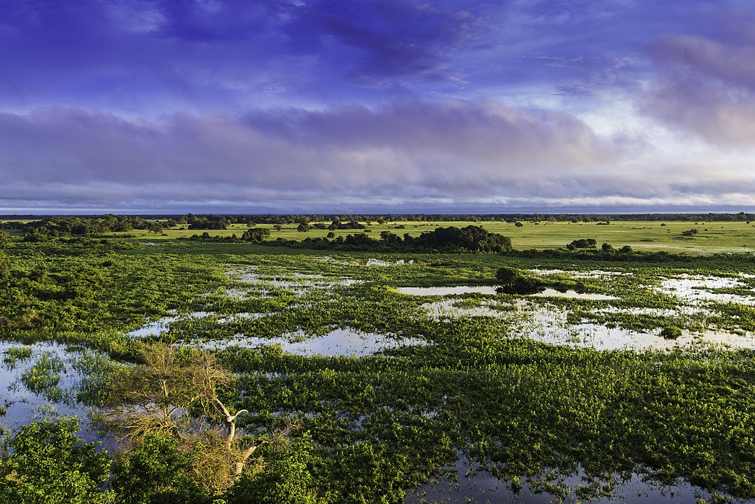 Pantanal, Brazil