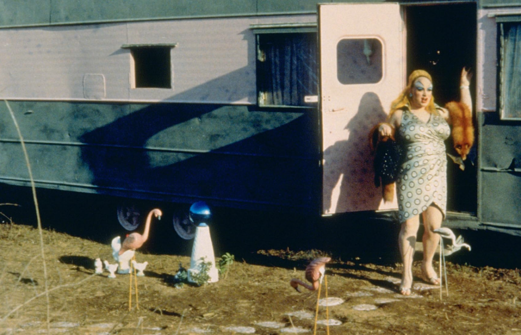 Pink Flamingos (1972)