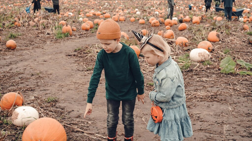 Visit a Pumpkin Patch and Pick Your Own Pumpkin