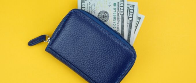 Travel Wallets