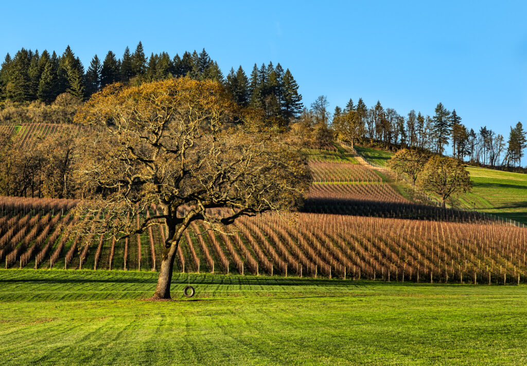 Willamette Valley, Oregon, USA