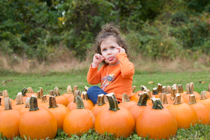 Attend a Harvest Festival