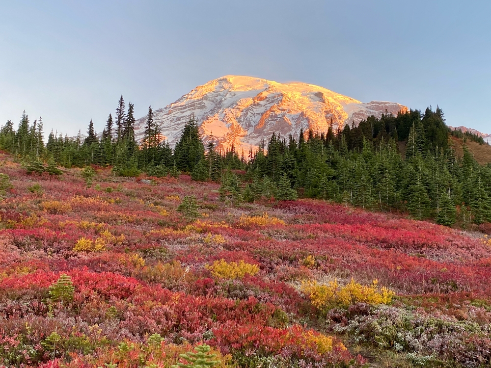 Mount Rainier National Park, Washington