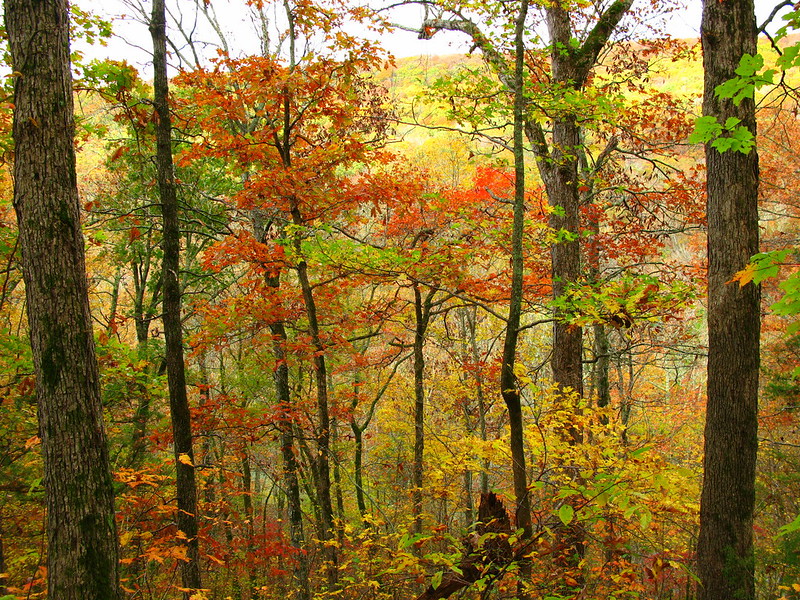 Ozark Highlands Scenic Byway, Arkansas