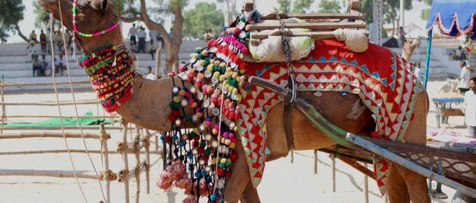 Pushkar Camel Fair, India