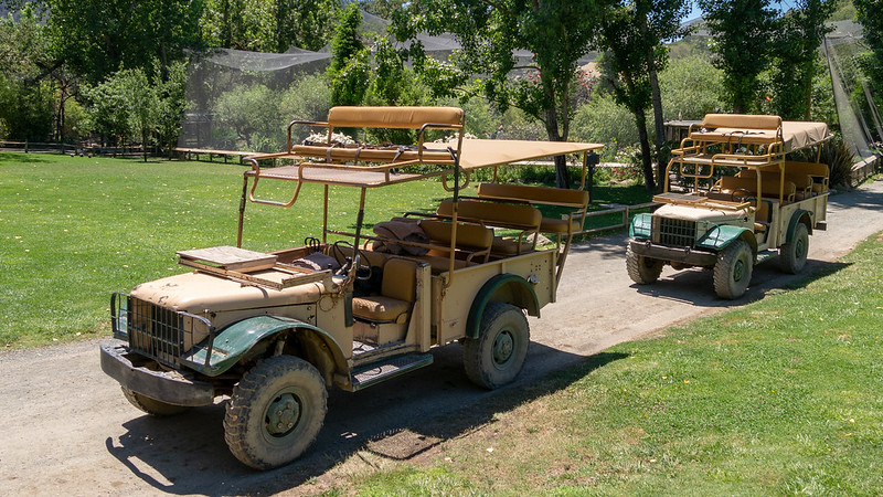 Safari West, Santa Rosa, California