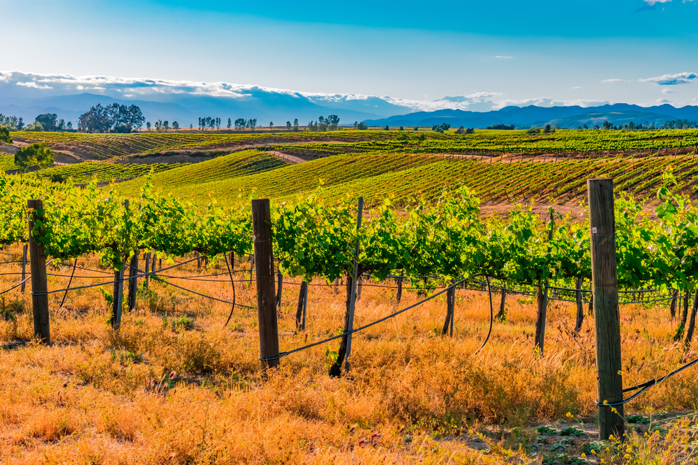 Temecula Valley, California