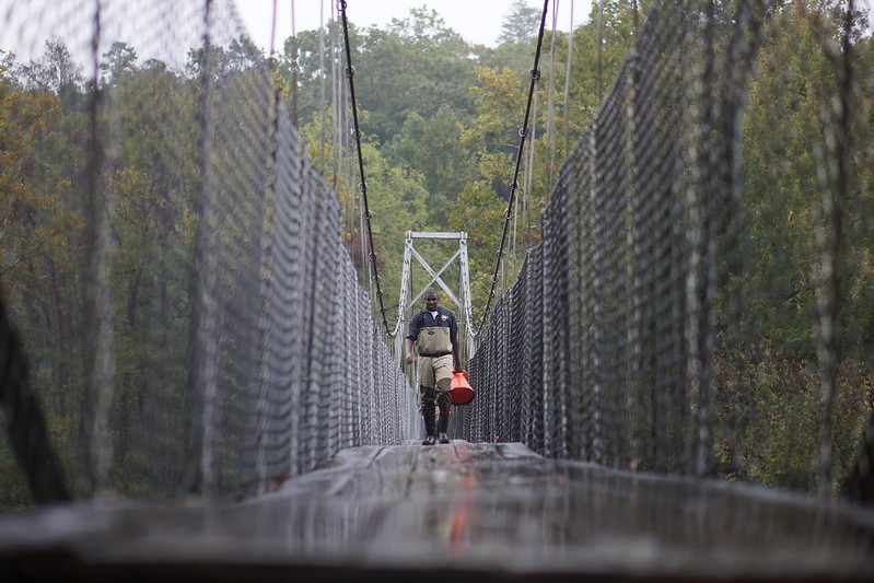 The Canopy, North Carolina