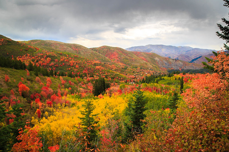 Utah’s Alpine Loop