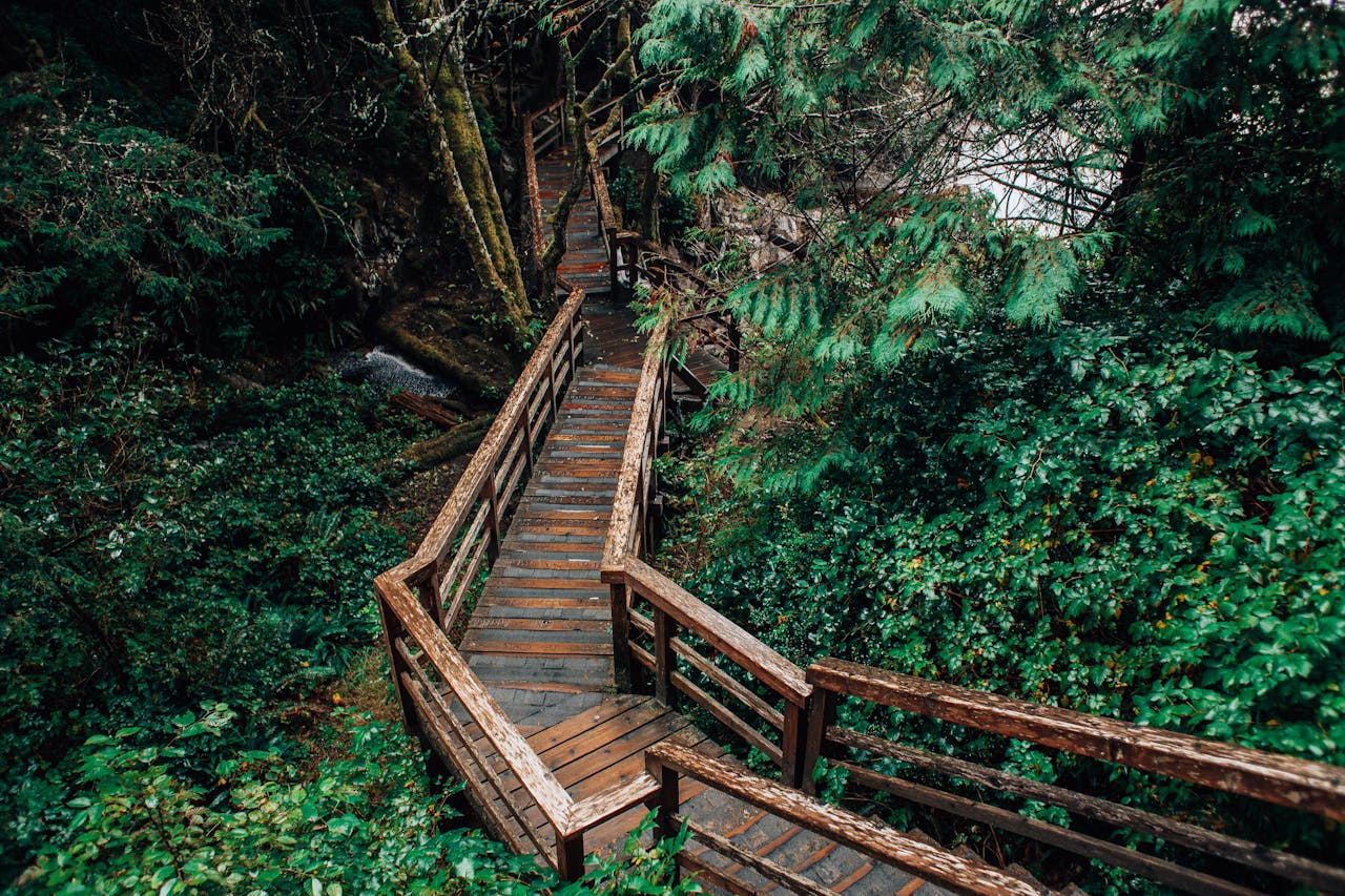 Cahuita National Park Trail, Costa Rica